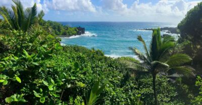 Maui: Road to Hana Sightseeing Tour - Getting There: Pickup, a Deluxe Touring Vehicle, and a Real 13-Hour Day