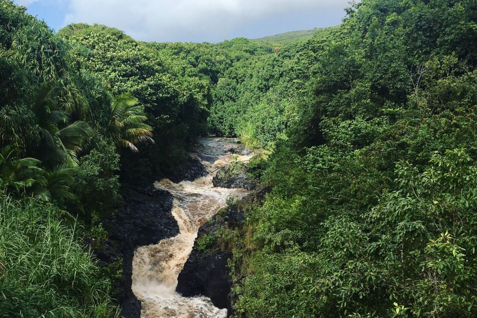 Maui: Road to Hana Sightseeing Tour - Hana Bay and the Return Drive: Same Coast, Different Feeling