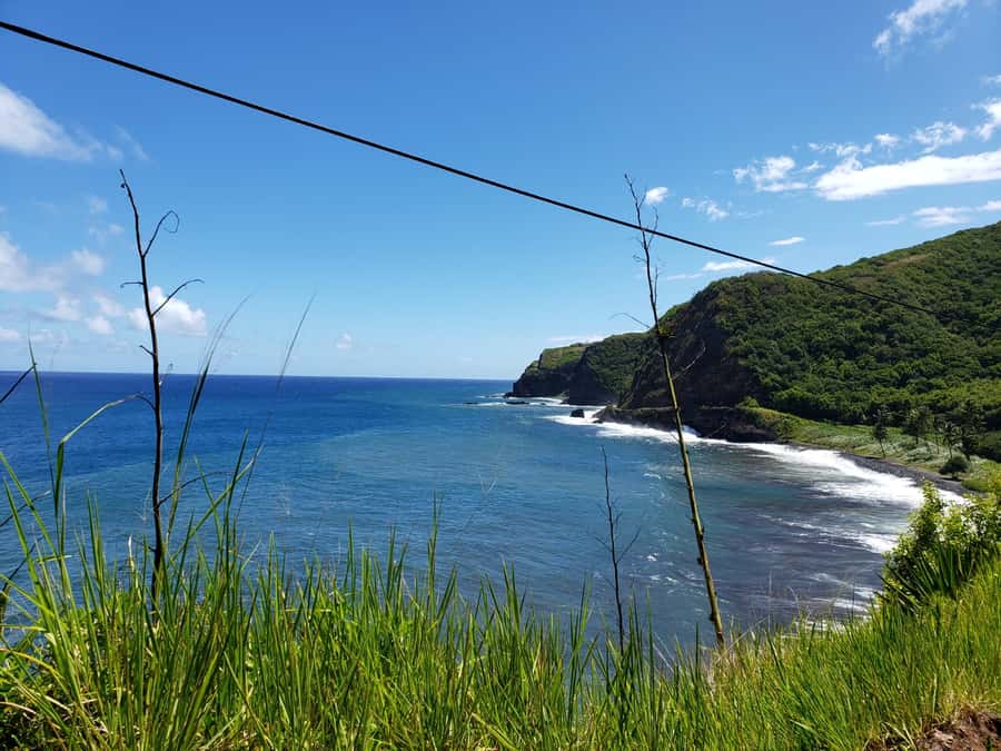 Maui : Road to Hana Tour w/ Pickup near Cruise Port - Ke‘anae Point and Aunty Sandy’s banana bread: the Hana flavor stops