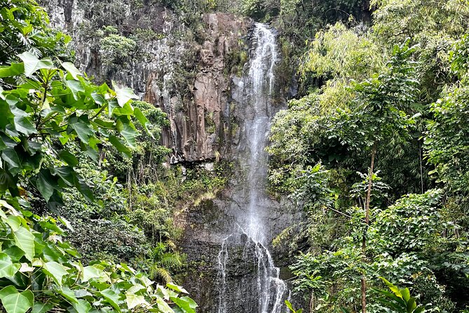 Maui Road to Hana VIP Private Tour in Convertible Bronco or Jeep - Your day on Maui: how the route flows from bamboo to black sand