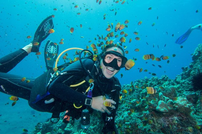 Maui Scuba Diving Introductory Lesson from Lahaina - Why Lahaina’s intro scuba lesson is built for real beginners