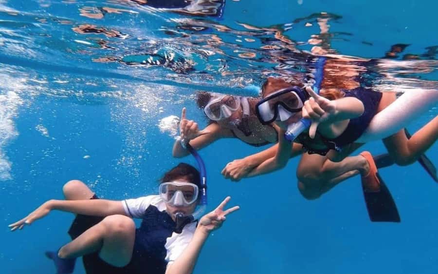 Maui: Semi-Private 3 Hour Eco-Raft Turtle Snorkel Tour - The Big Picture: Why This Turtle Snorkel Tour Feels Different