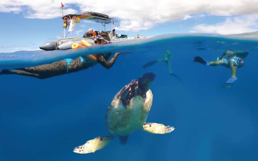 Maui: Semi-Private 3 Hour Eco-Raft Turtle Snorkel Tour - Boarding the Adventure Raft: The Semi-Private, Low-Stress Vibe