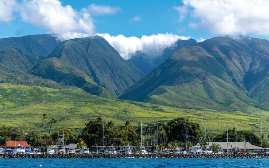 Maui: Semi-Private 3 Hour Eco-Raft Turtle Snorkel Tour - Food and Drinks Mid-Adventure: The Small Things That Keep You Happy