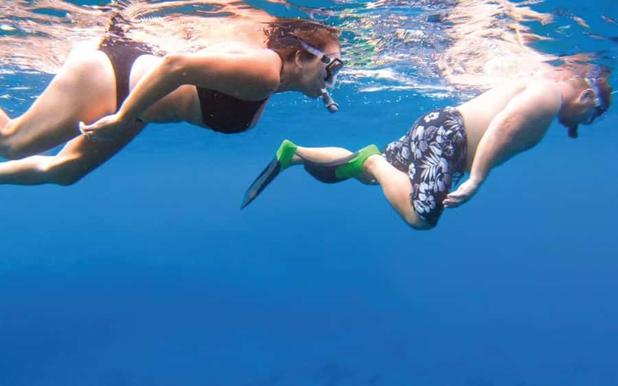 Maui: Semi-Private Eco-Raft Lanai Snorkel & Dolphin Tour - Lanai schedule that works: breakfast, two snorkel sessions, and lunch in between
