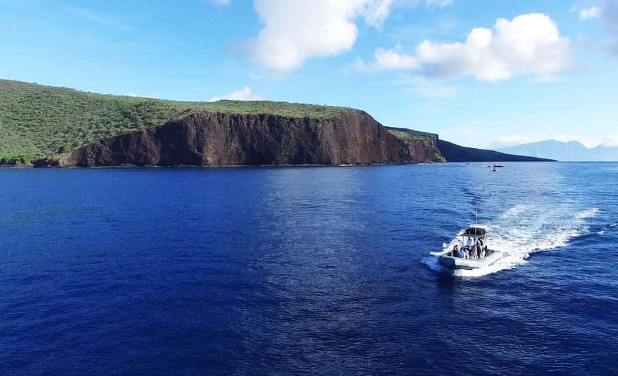 Maui: Semi-Private Eco-Raft Lanai Snorkel & Dolphin Tour - Snorkeling gear rules and packing tips that keep the day easy