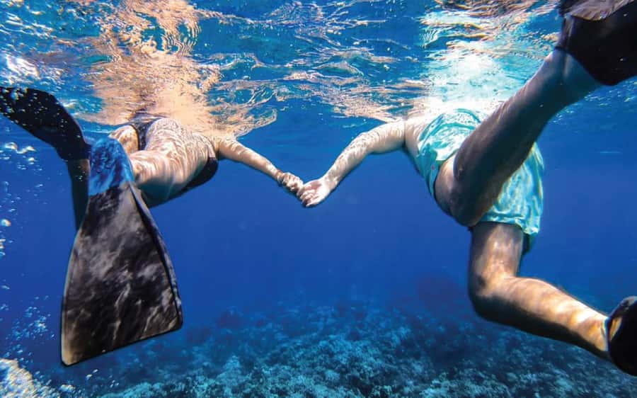 Maui: Semi-Private Eco-Raft Lanai Snorkel & Dolphin Tour - Safety, comfort, and who this tour fits best