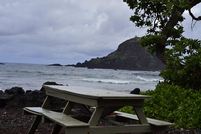 Maui Shore Excursions : Road to Hana With Pickup & Lunch - Small-group comfort (and why it can matter on Hana)