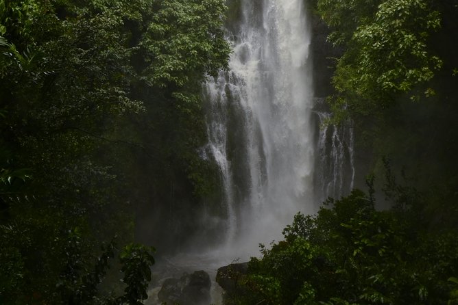 Maui Shore Excursions : Road to Hana With Pickup & Lunch - Bamboo forest and the waterfall under a bridge