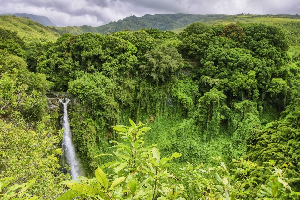 Maui: Small-Group Road to Hāna Sightseeing Tour - Key Highlights You’ll Feel From Day One