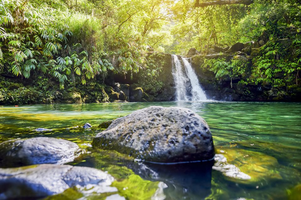 Maui: Small-Group Road to Hāna Sightseeing Tour - Price and Value at About $250 for 8 Hours