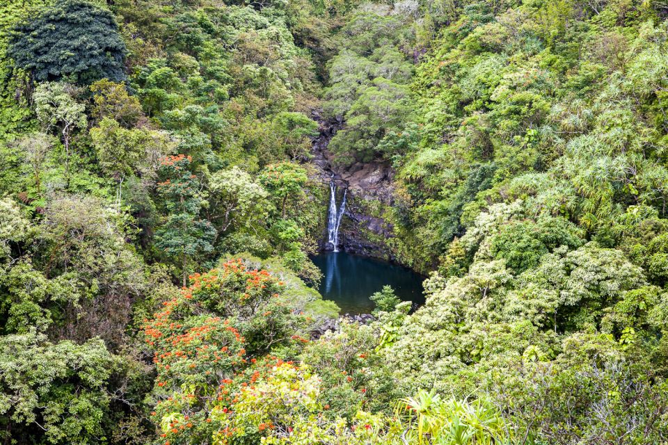 Maui: Small-Group Road to Hāna Sightseeing Tour - Puohokamoa Falls and the Keanae Peninsula: Where the Views Turn Wild