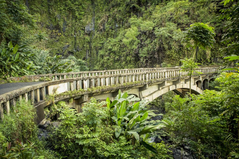 Maui: Small-Group Road to Hāna Sightseeing Tour - Waiʻānapanapa Black Sand Beach: Swim Time and Sea Cave Views