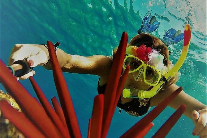 Maui Snorkel Adventure: Molokini Crater and Turtle Cove - Getting to Molokini: The Super Raft Difference