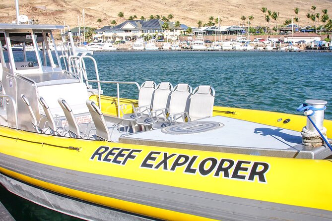 Maui Snorkel Adventure: Molokini Crater and Turtle Cove - Lunch and Snacks: Real Food Power for a Swim-Heavy Day