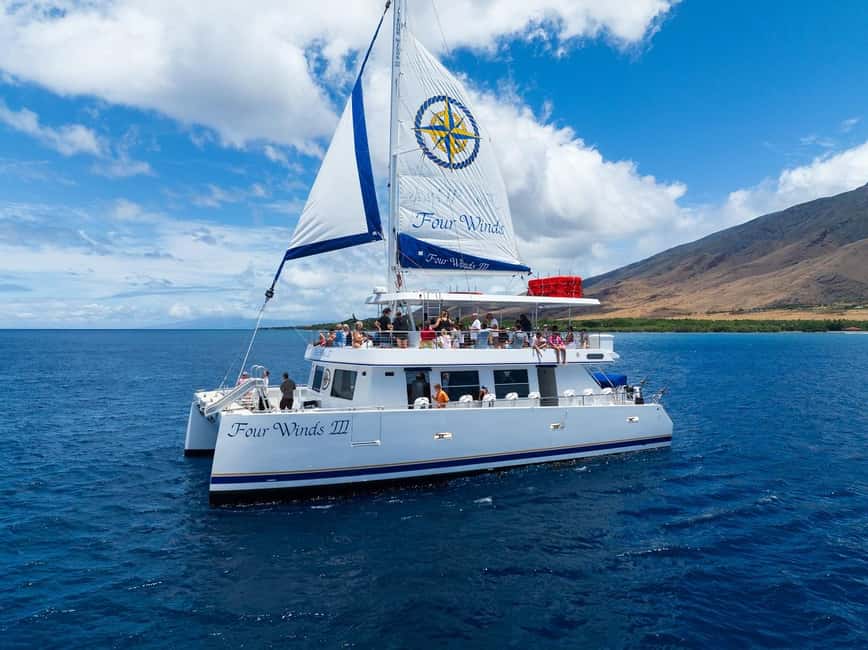Maui: Snorkel Tour to Coral Gardens - Getting to Maalaea Harbor Slip 80 (and starting without stress)