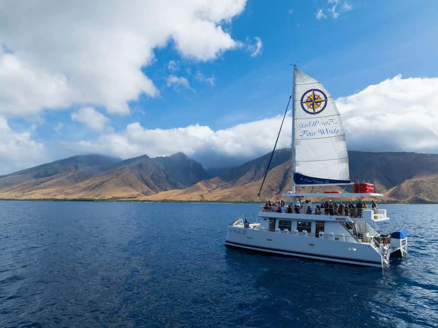 Maui: Snorkel Tour to Coral Gardens - Molokini when weather allows: the backup plan that still feels special