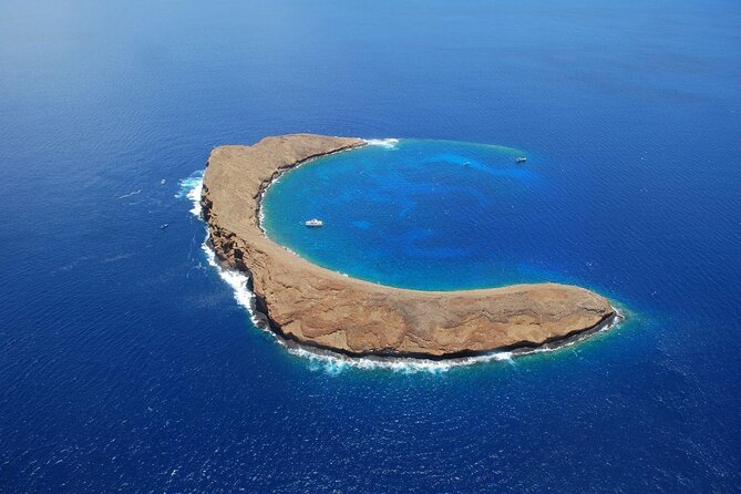 Maui Snorkeling Adventure From Ma'alaea Harbor to Molokini - Key Points I’d Use to Decide