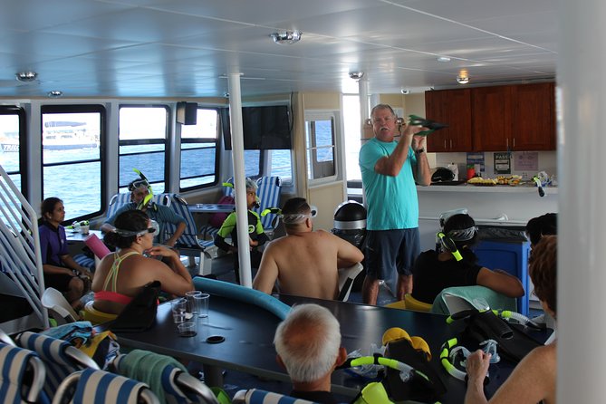 Maui Snorkeling Adventure From Ma'alaea Harbor to Molokini - Food and drinks: what you’re really paying for ($185.95)