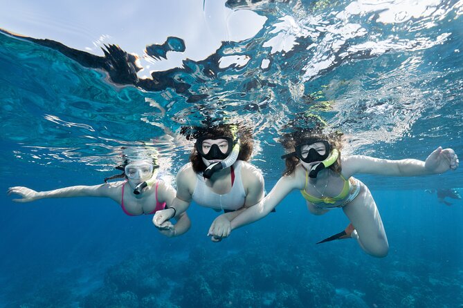 Maui Snorkeling Boat Tour to Turtle Town Aboard Quicksilver - Key points before you go
