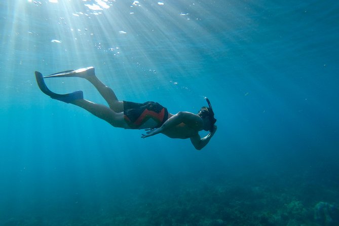 Maui Snorkeling Boat Tour to Turtle Town Aboard Quicksilver - Price and value at $99.95: what you’re really paying for