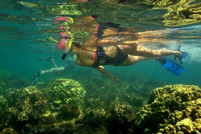 Maui South Shore Premier Kayak and Snorkel Tour from Makena Beach - Why the 7:00 am Makena launch feels smarter than a later day
