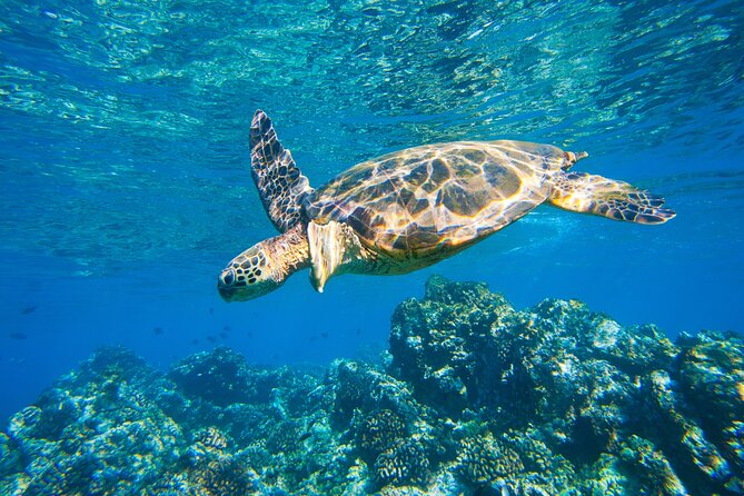 Maui South Shore Premier Kayak and Snorkel Tour from Makena Beach - The paddle route: Haleakala views, distant islands, and Makena Bay