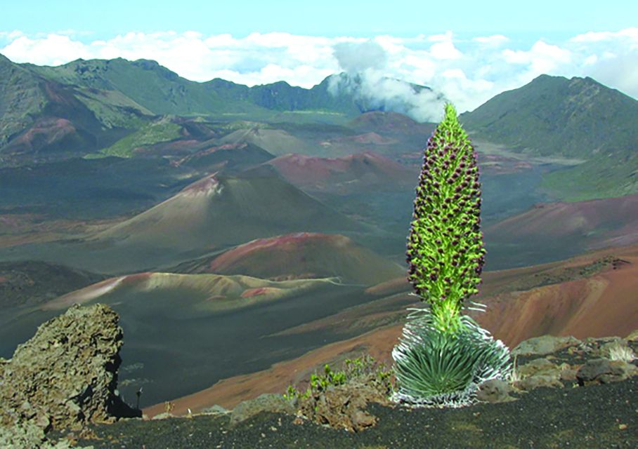 Maui: Sunset & Dinner Tour to Haleakala National Park - Pickup across Maui, then the long-but-scenic climb begins