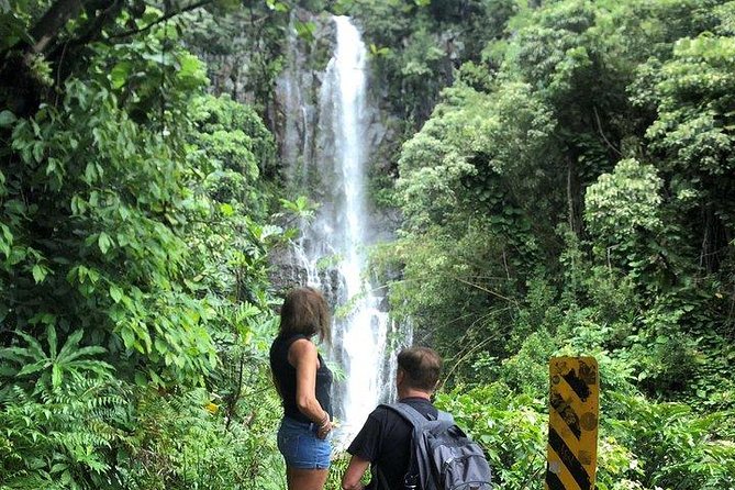 Maui Tour : Road to Hana Day Trip from Kahului Lunch, Water, Chip - The Bamboo Forest Stop on Hana Highway: Short, Scenic, and Photo-Friendly