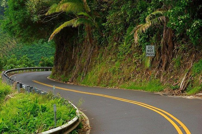 Maui Tour : Road to Hana Day Trip from Kahului Lunch, Water, Chip - The Pua‘a Ka‘a State Park Swim Option: Bring a Towel and Hope for a Good Moment