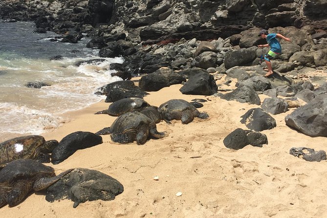 Maui Tour : Road to Hana Day Trip from Lahaina with Pick-up - Ke‘anae Point: taro, poi, and a taste of local food culture