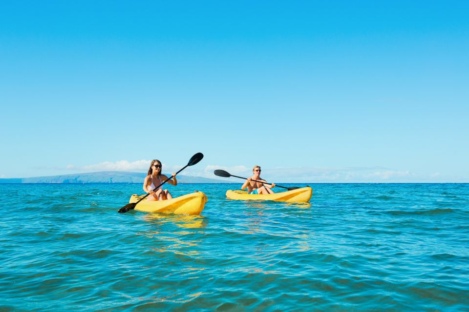 Maui: Turtle Town Kayak and Snorkel Tour - Key Things I’d Put at the Top of Your List