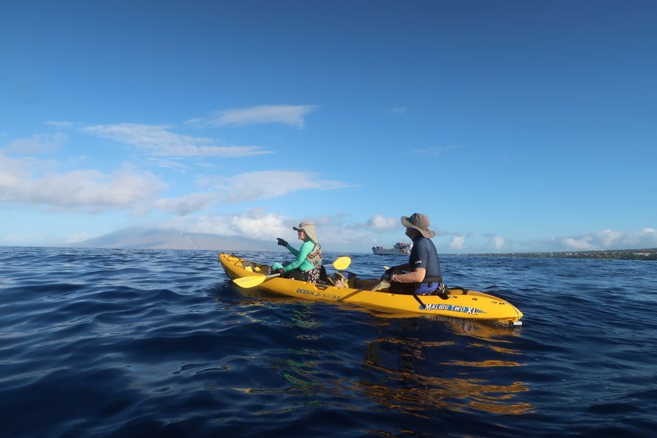 Maui: Turtle Town Kayak and Snorkel Tour - Makena Bay Turtle Town: Why Kayak + Snorkel Works So Well