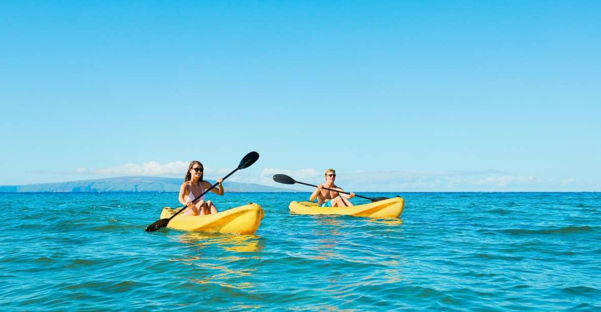 Maui: Turtle Town Kayak and Snorkel Tour - Guides Make It or Break It: What the Best Ones Do
