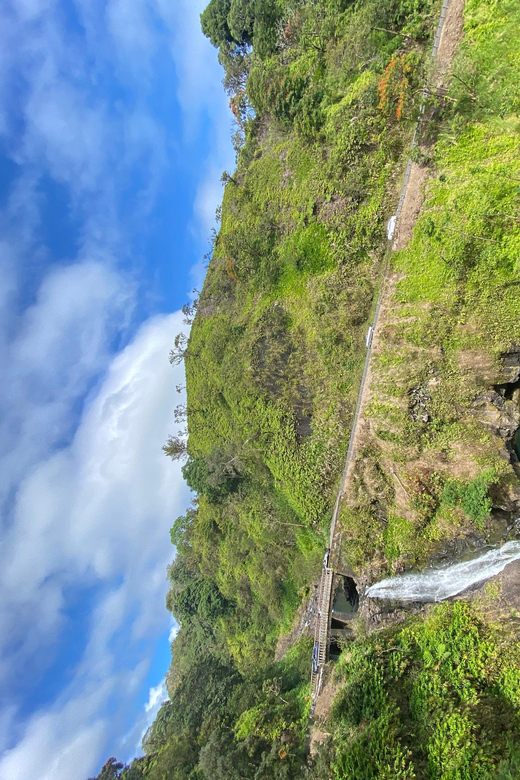 Maui: Van Day Trip to Hana with Local Guide and Lunch - Price and value: is $210 per person a fair trade for one day?