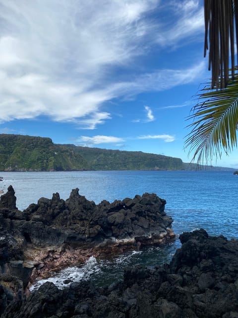 Maui: Van Day Trip to Hana with Local Guide and Lunch - Ocean-coast viewpoints: what you’ll actually get from the drive
