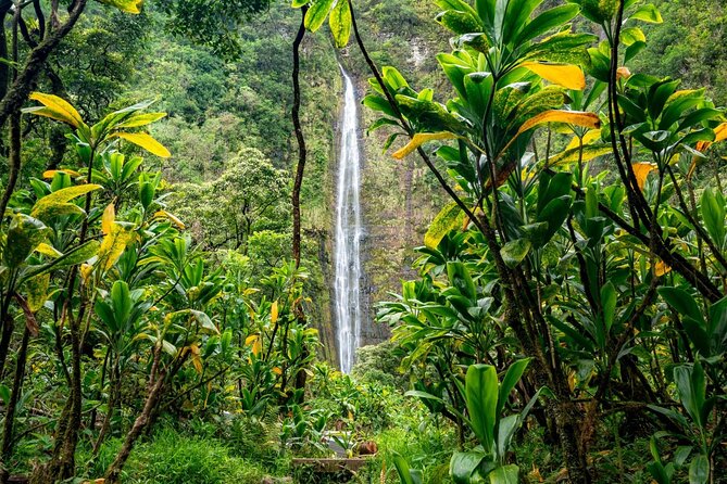 Maui: VIP Private Road to Hana Tour with Pick Up - Upper Waikani Falls and the Three Bears effect