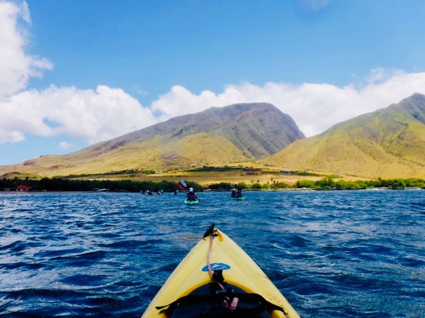 Maui: West Side Discovery Kayak & Snorkel from UKUMEHAME - Who This Tour Fits Best