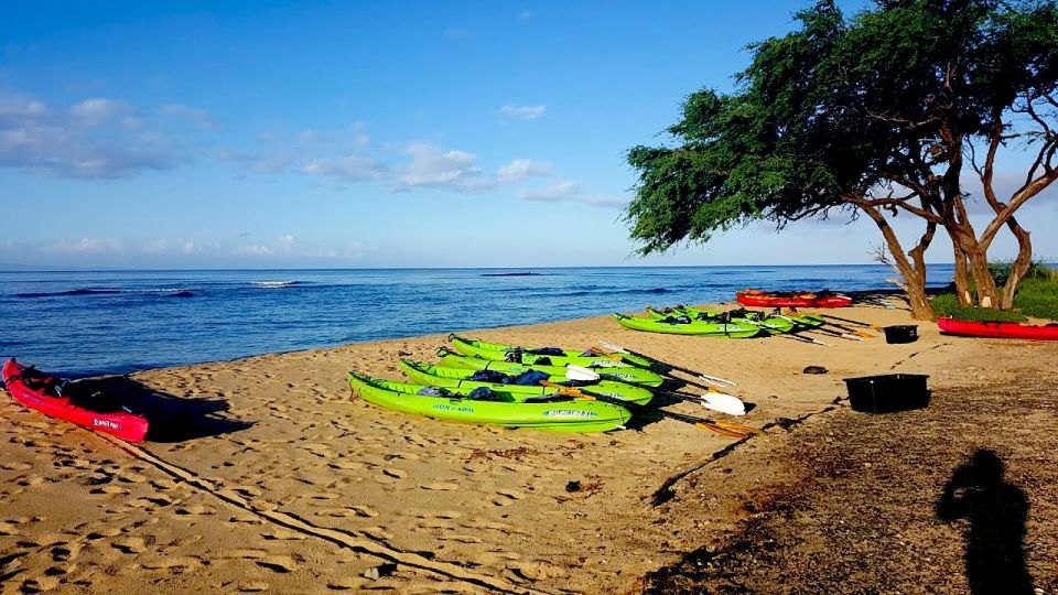 Maui: West Side Discovery Kayak & Snorkel from UKUMEHAME - Why a West Maui Kayak and Snorkel Makes Sense