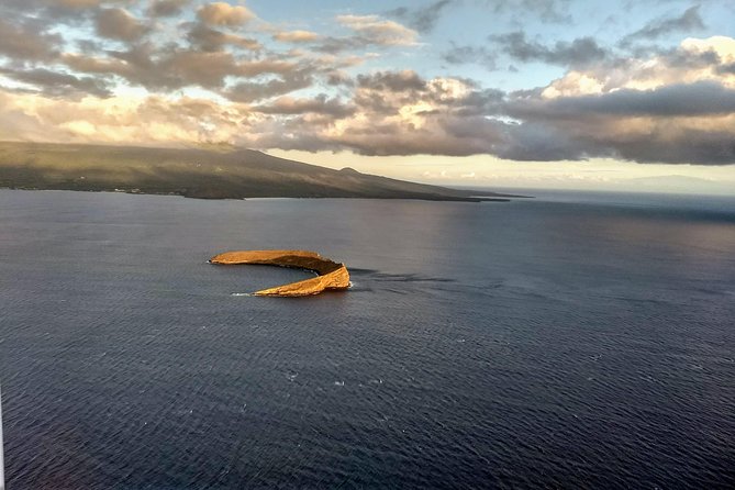 Maui Whale Watching -PRIVATE- Air Tour: (2-5 People): SEE WHALES! - Photo and comfort tips for a one-hour sky tour