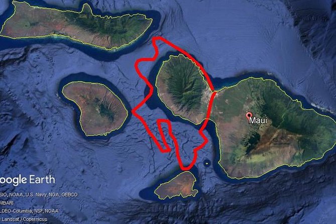 Maui Whale Watching -PRIVATE- Air Tour: (2-5 People): SEE WHALES! - The pilot narration: why you’ll actually understand what you see