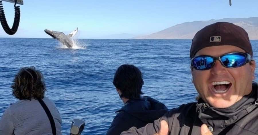 Maui: Whale Watching Tour - 1.5 hours - Quick hits: what makes this Maui whale watch work