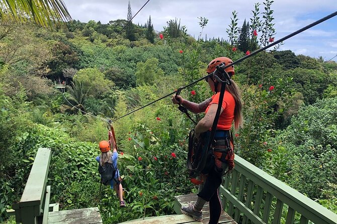 Maui Zipline Eco Adventure: 8 Lines through the Jungle - Key Takeaways Before You Go