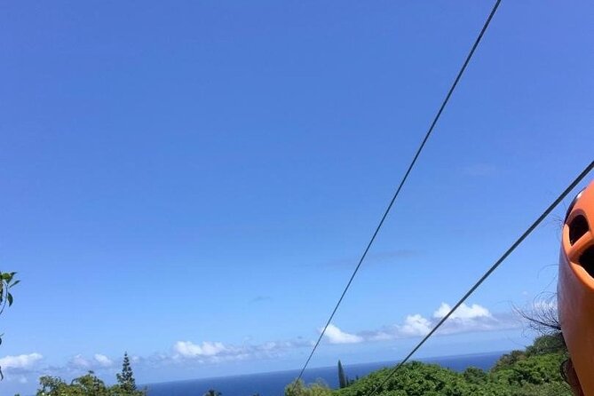 Maui Zipline Eco Adventure: 8 Lines through the Jungle - The Walk Between Lines: What You Must Be Ready For