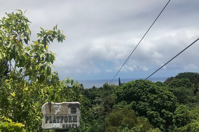 Maui Zipline Eco Adventure: 8 Lines through the Jungle - Safety Gear and Guides: Why This Tour Gets Nearly Full Marks