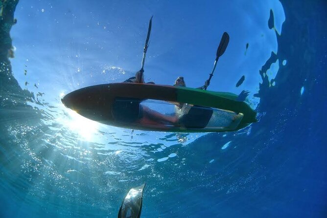 Maui's Only Clear Bottom Kayak Rental (priced per tandem kayak) - Key Highlights You’ll Actually Care About