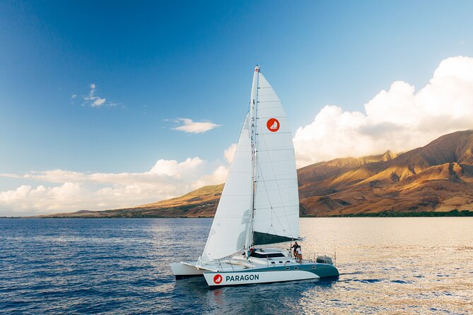 Midmorning Whale Watch from Lahaina Harbor - Price, value, and the weather question you can’t ignore