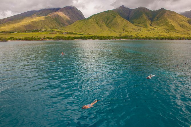 Molokini and Turtle Arches Snorkeling Trip from Ma'alaea Harbor - Your 54-Foot Catamaran Ride: Comfort, Crew, and the Pace That Matters