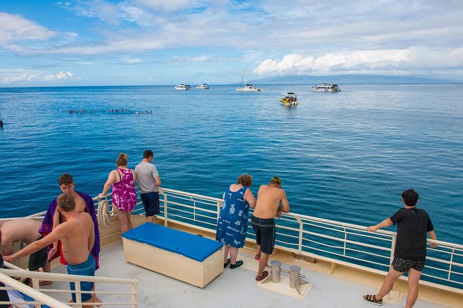 Molokini and Turtle Arches Snorkeling Trip from Ma'alaea Harbor - Price and Value for This $209.99 5-Hour Reef Tour