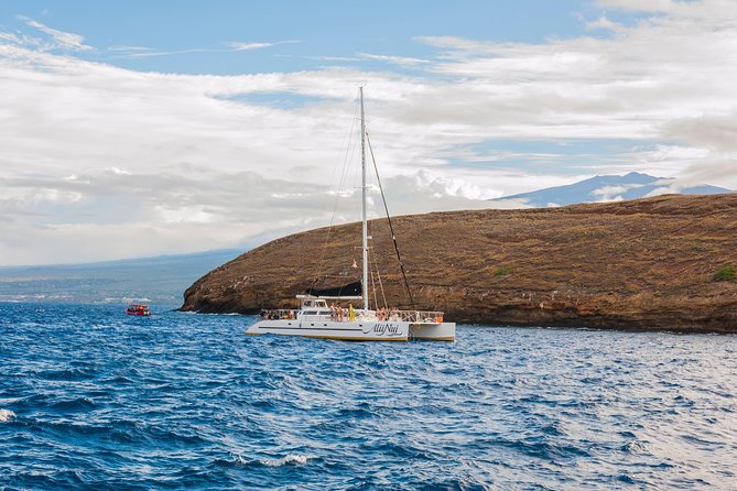 Molokini and Turtle Arches Snorkeling Trip from Ma'alaea Harbor - What to Bring (and the Rules That Can Affect Your Day)